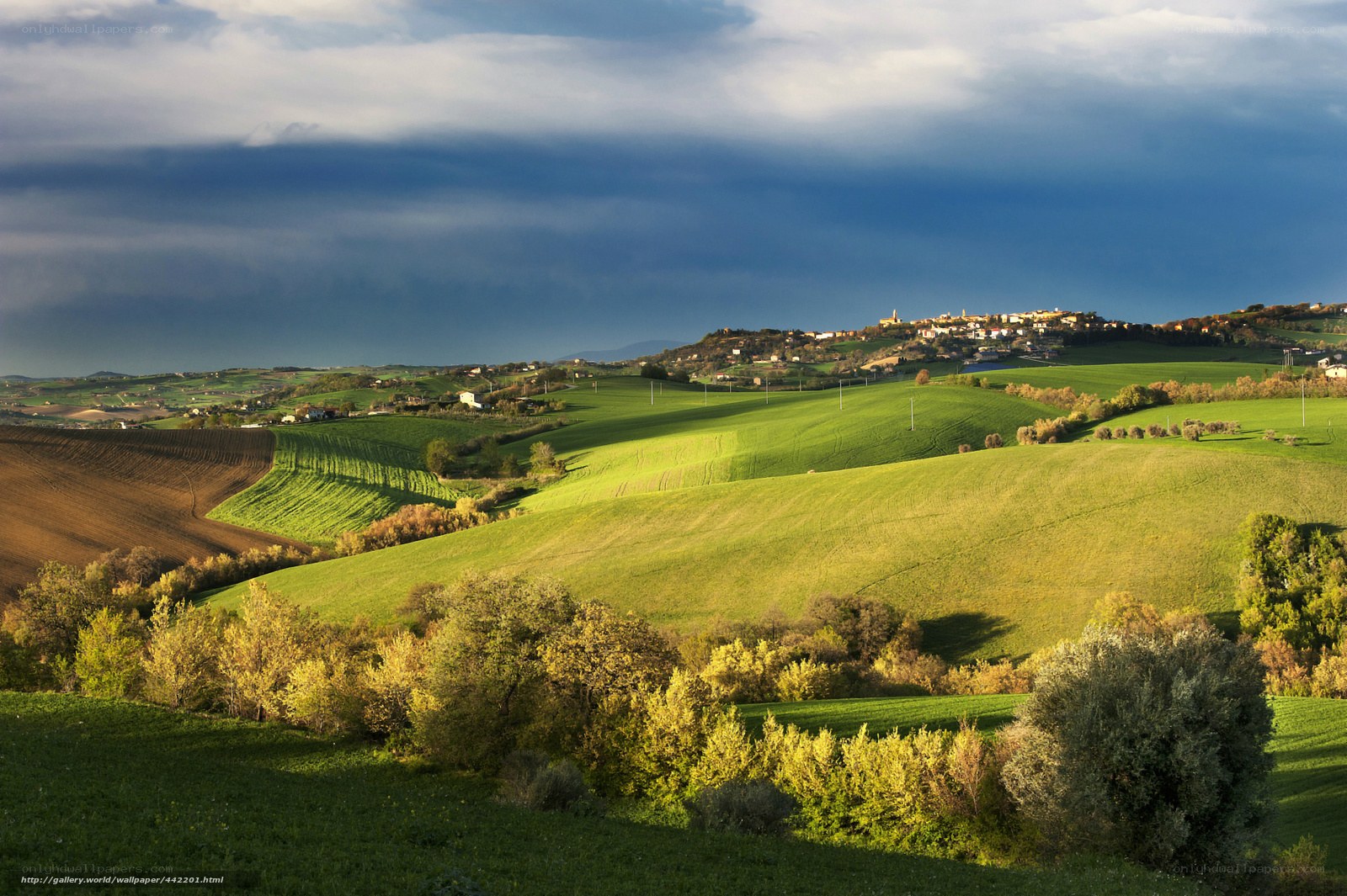 Tuscan hills at sunset
