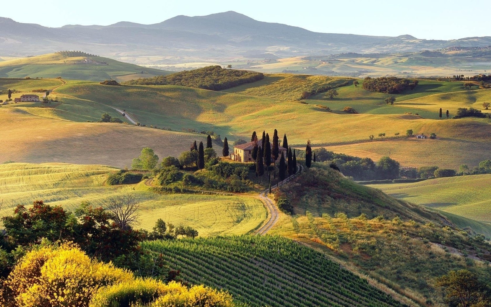 Tuscan hills landscape