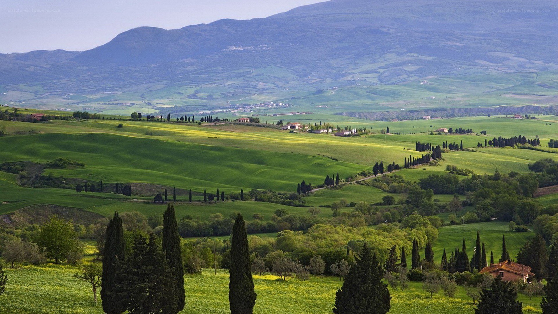 Tuscan hills landscape