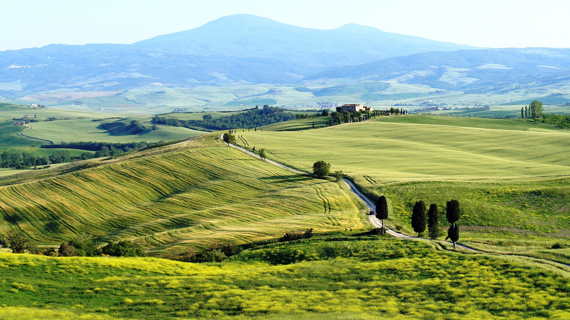 Tuscan hills landscape