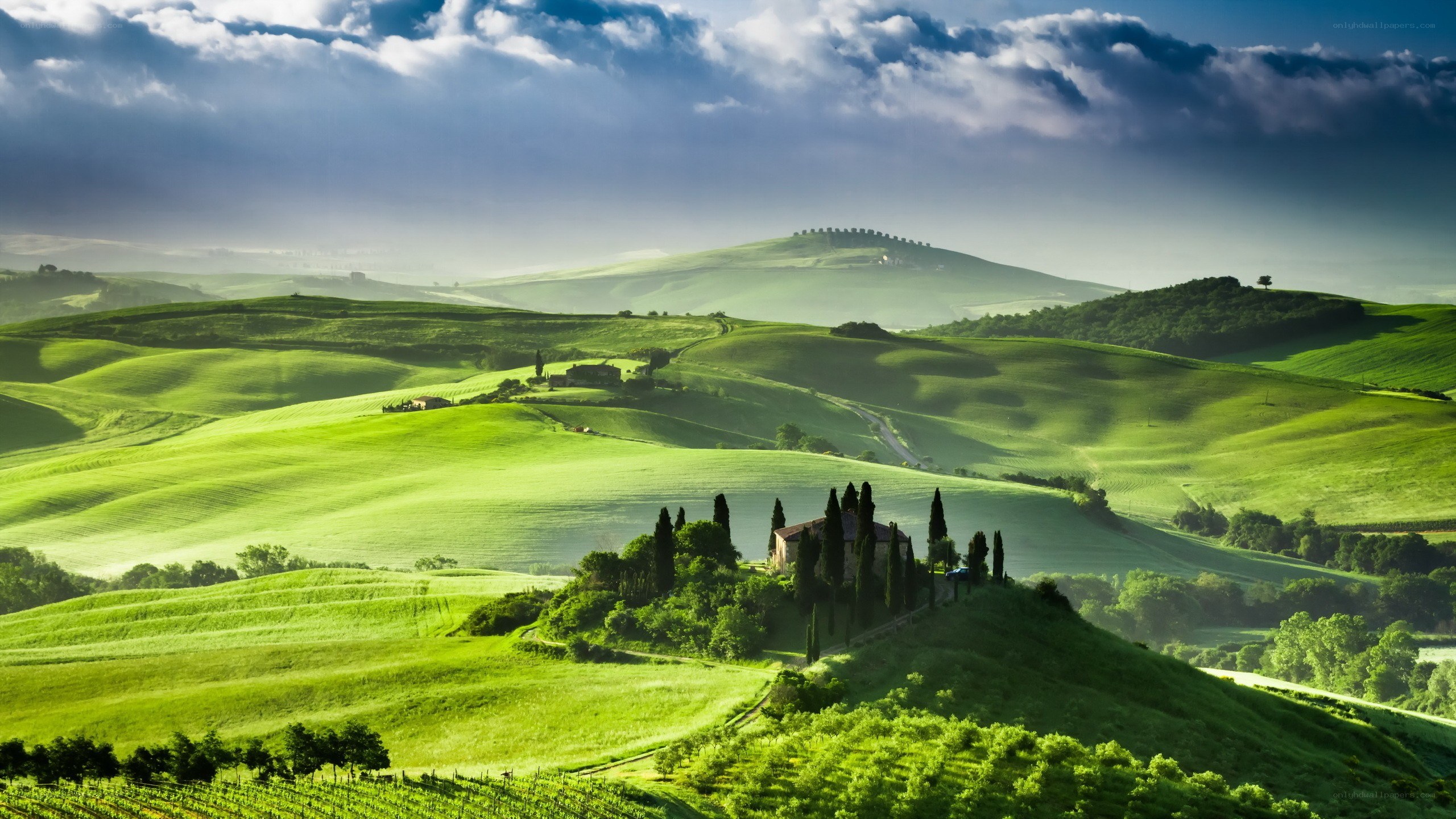 Tuscan hills landscape