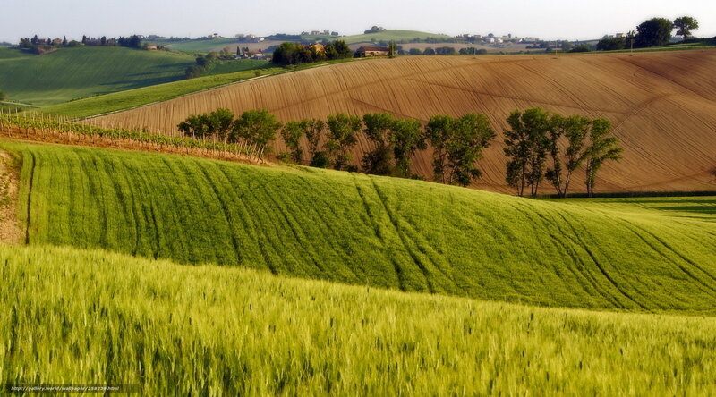 Tuscan hills landscape