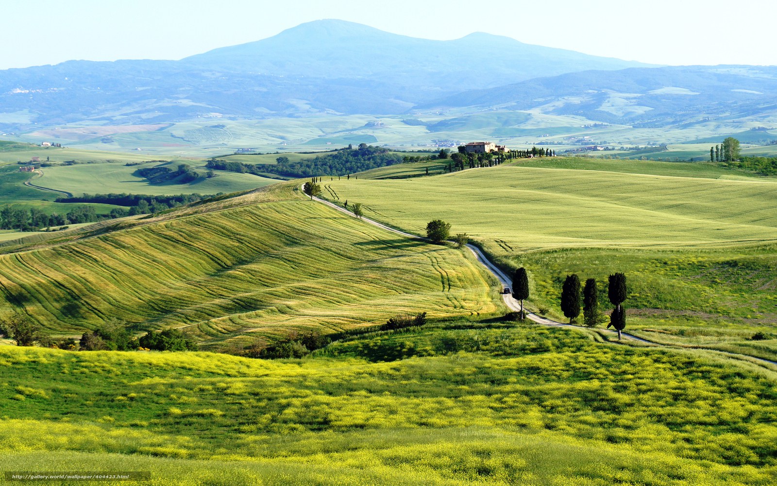 Tuscan hills landscape