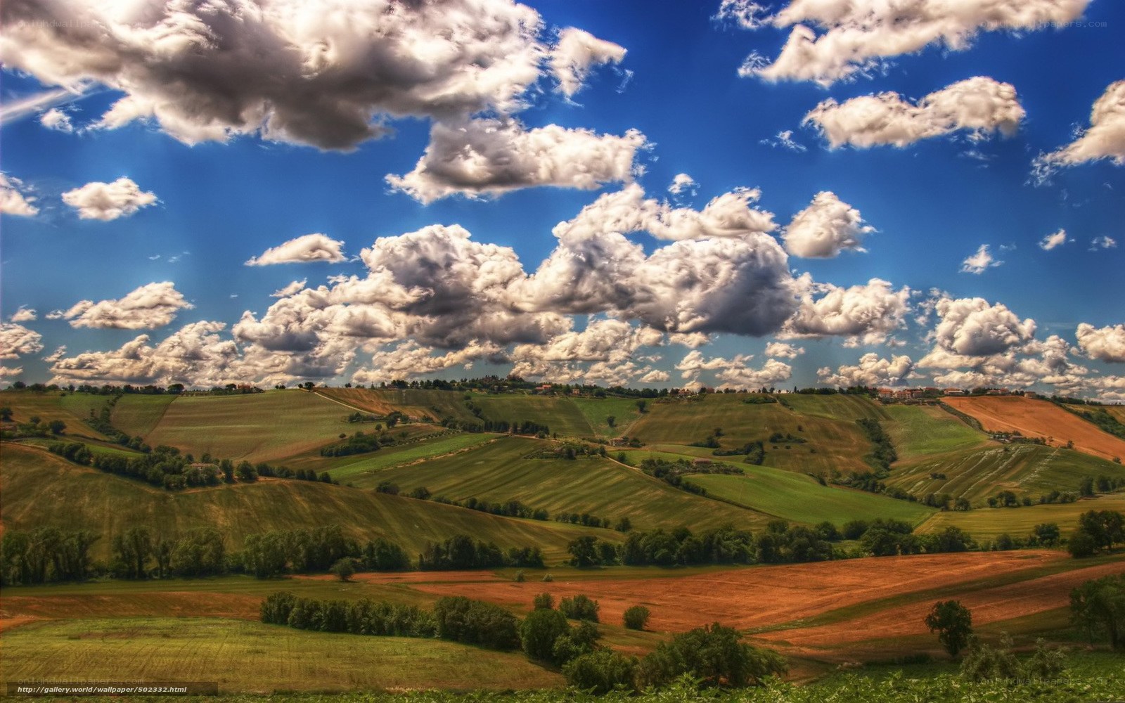 Tuscan Hills Landscape