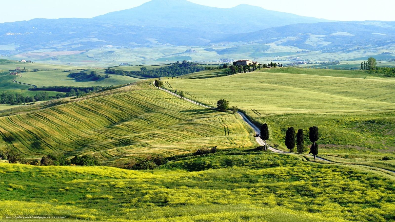 Tuscan hills landscape