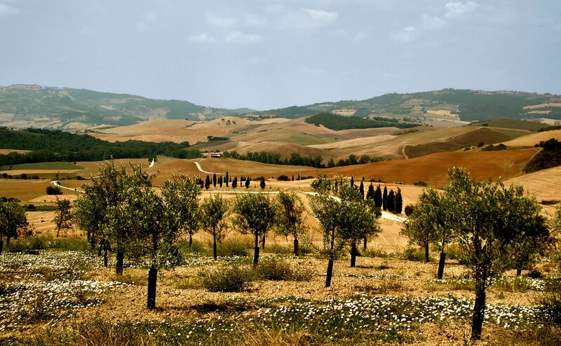 Tuscan hills landscape
