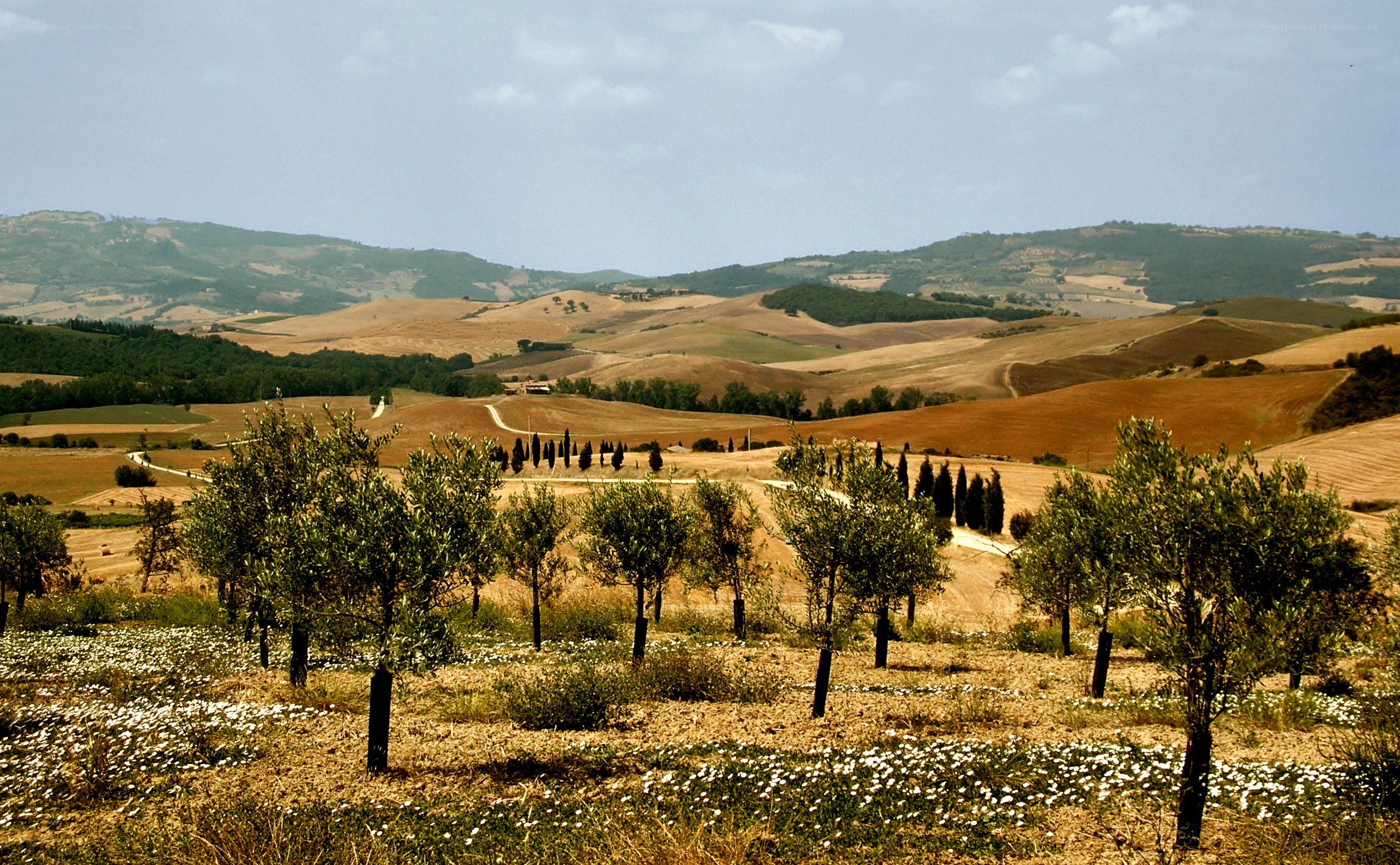Tuscan hills landscape