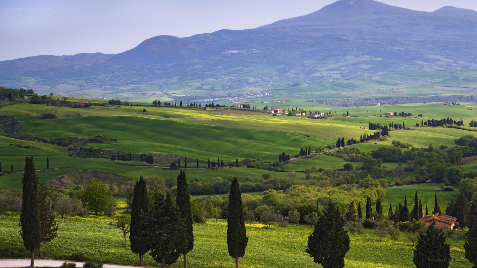 Tuscan hills landscape