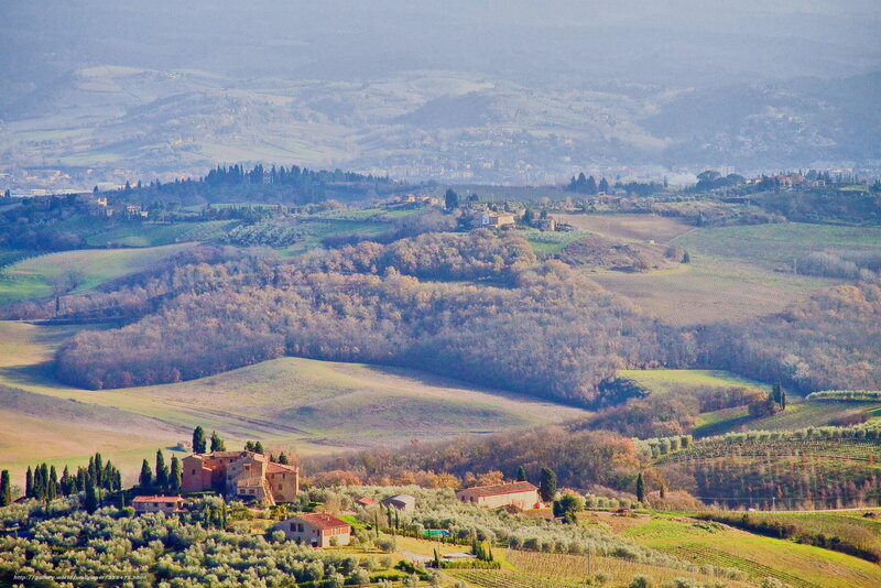 Tuscan Hills Landscape — Green, Serene, Afternoon