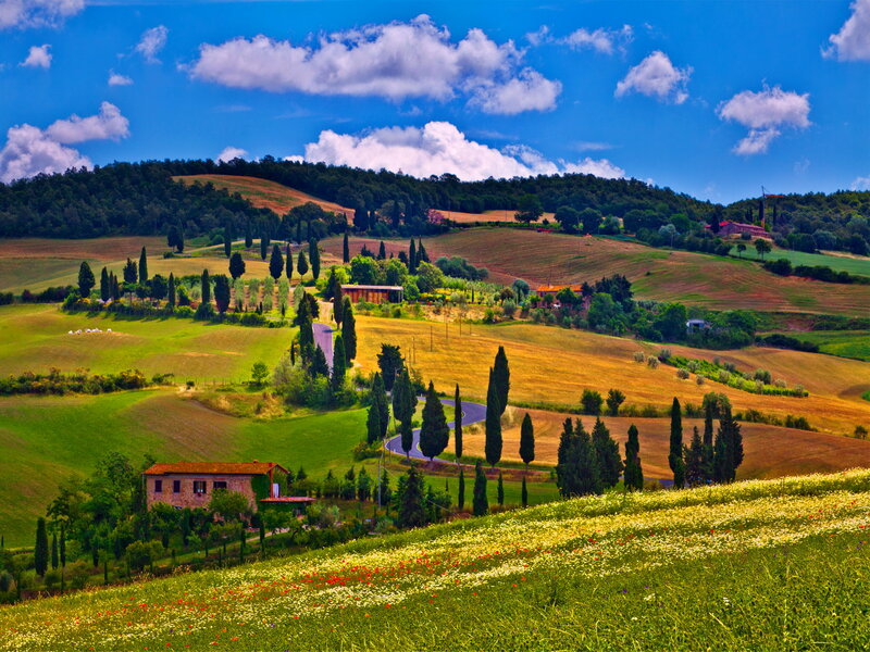 Tuscan Hills Landscape — Green