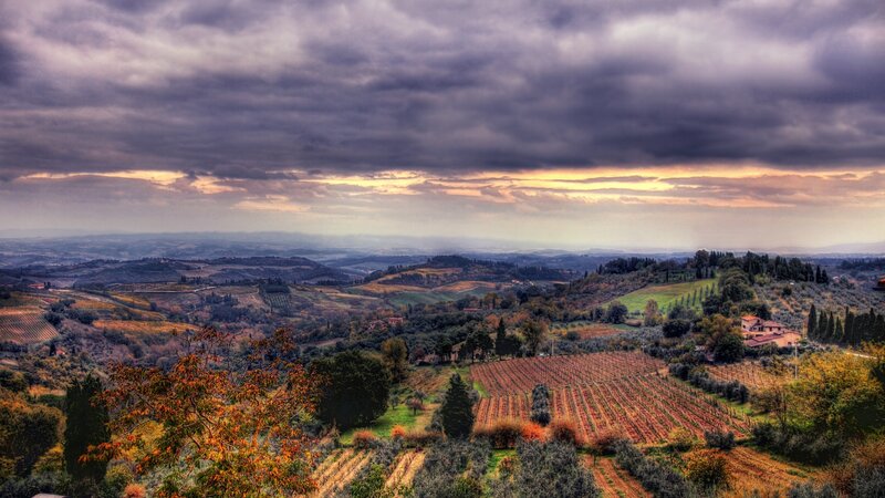 Tuscan Hills Landscape — Purple