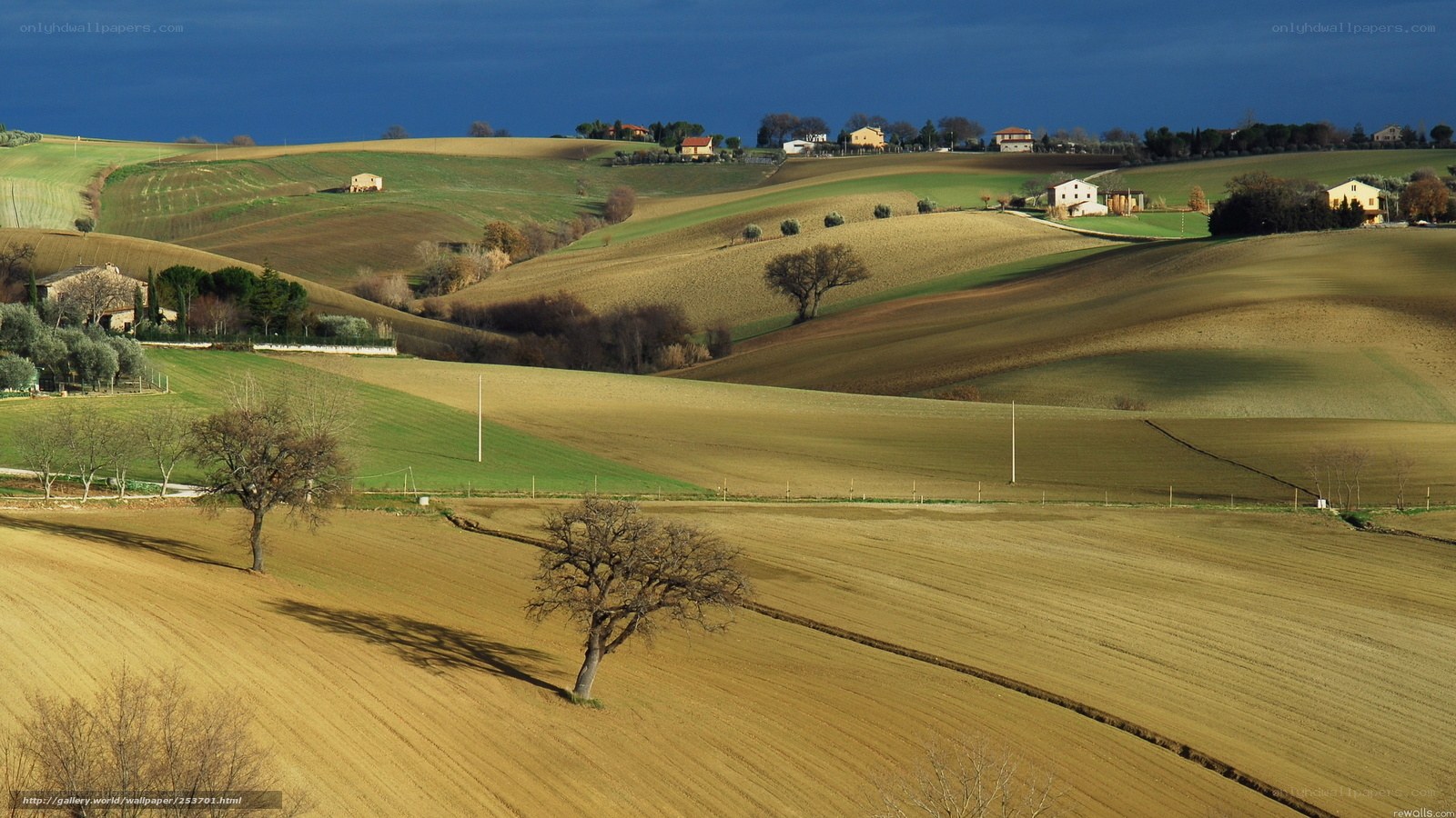 Tuscan hills landscape