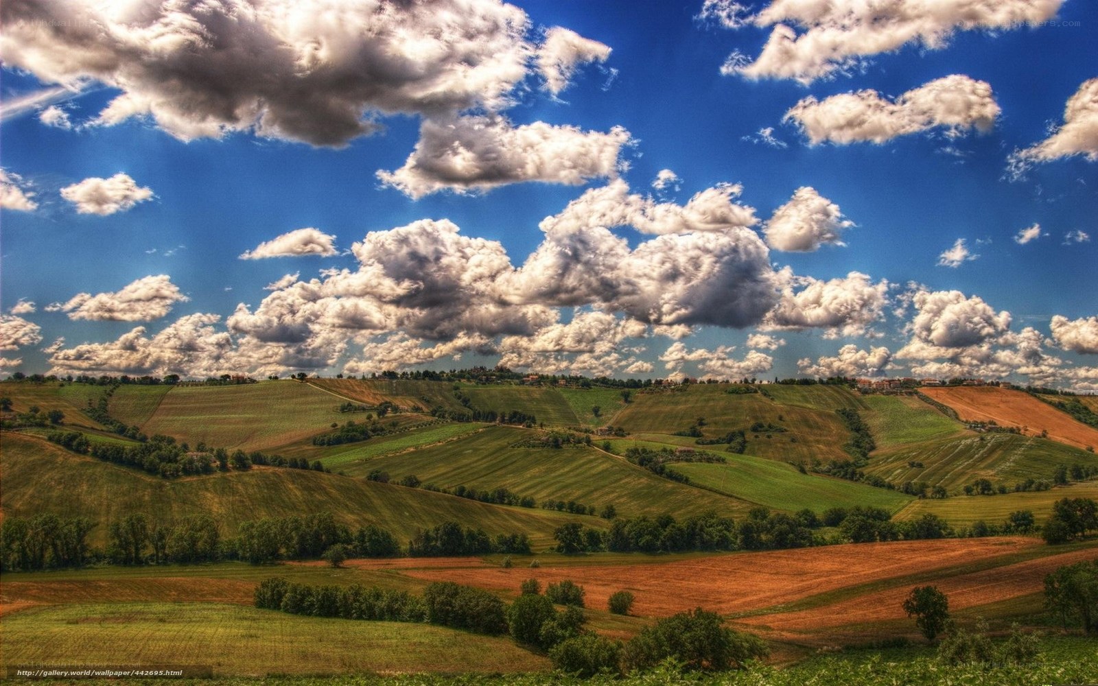 Tuscan hills under cloudy sky