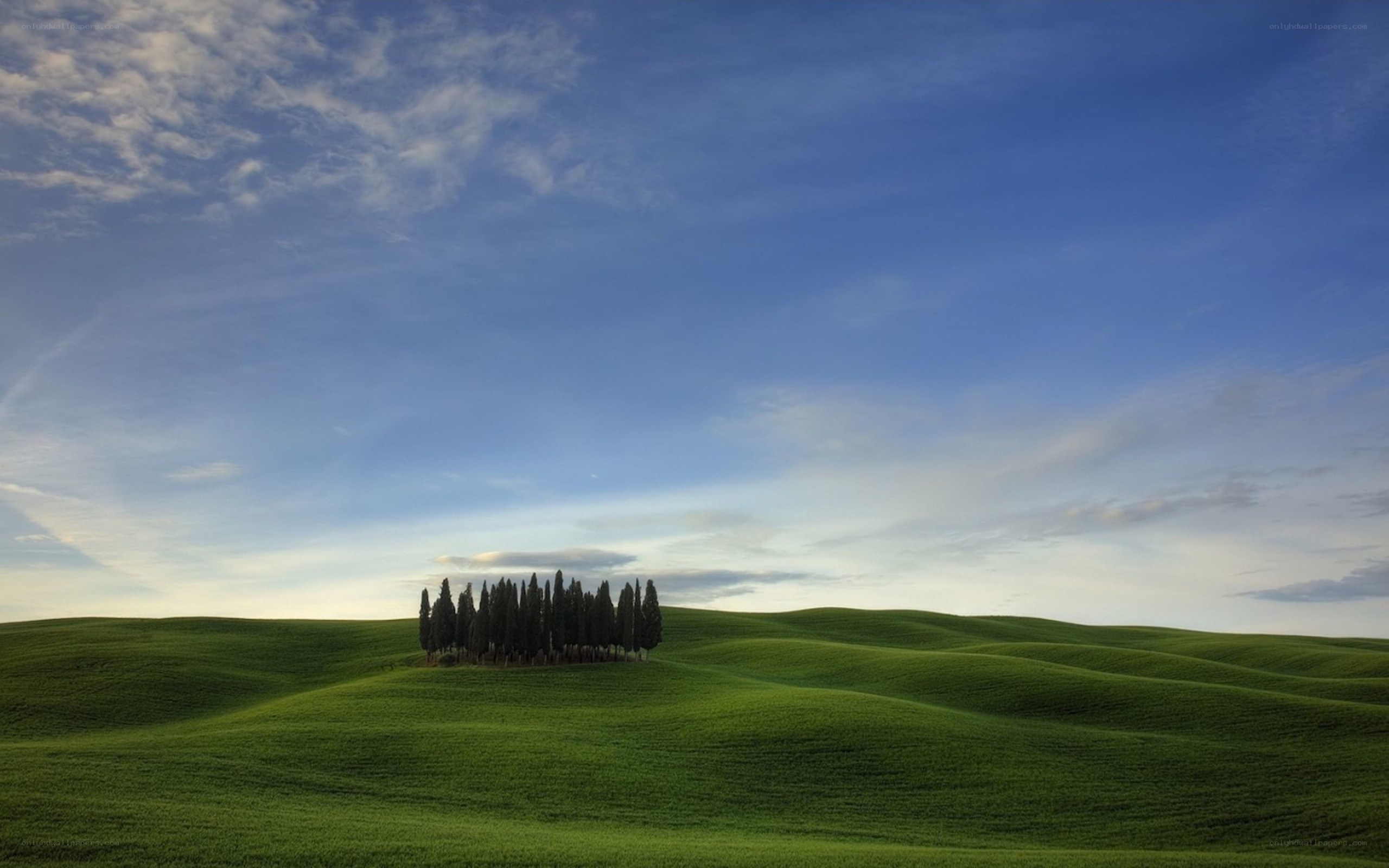Tuscan hills with cypress trees