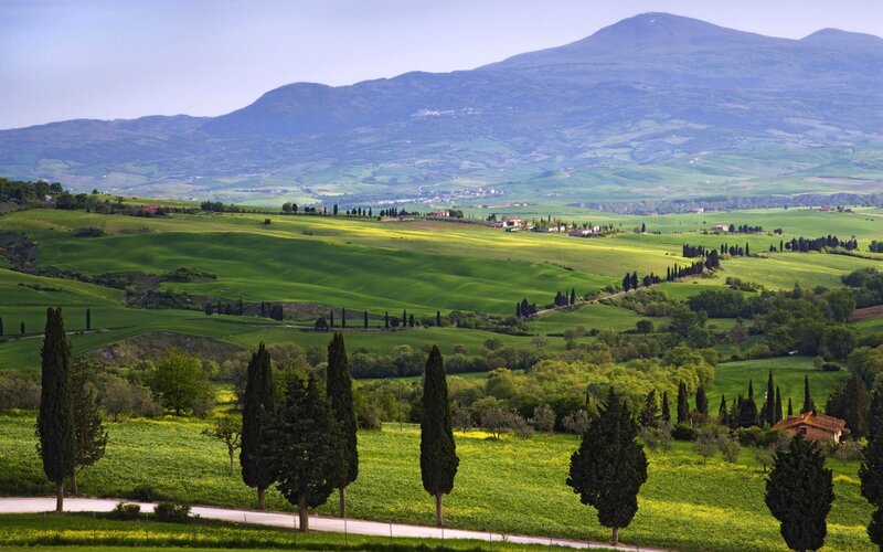 Tuscan hills with cypress trees