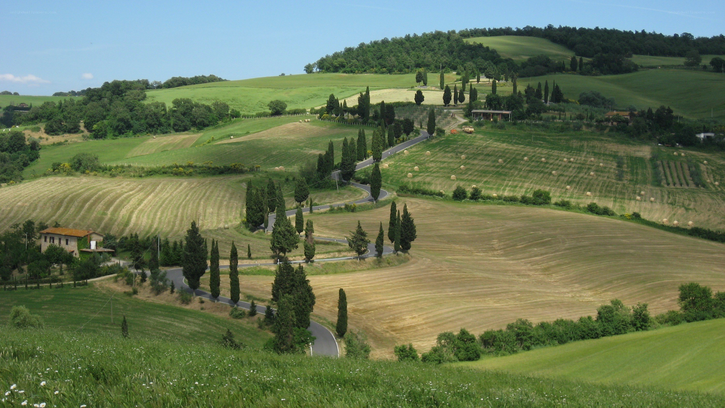 Tuscan hills with winding road