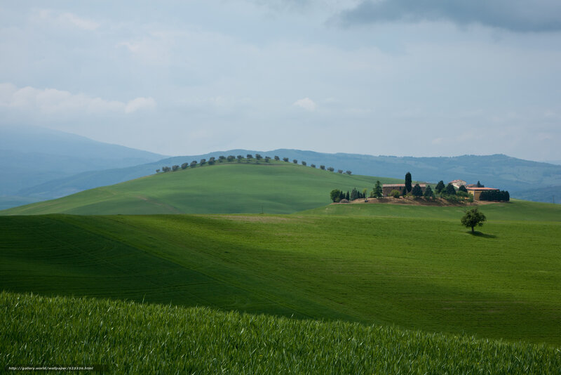 Tuscan Hillside Landscape