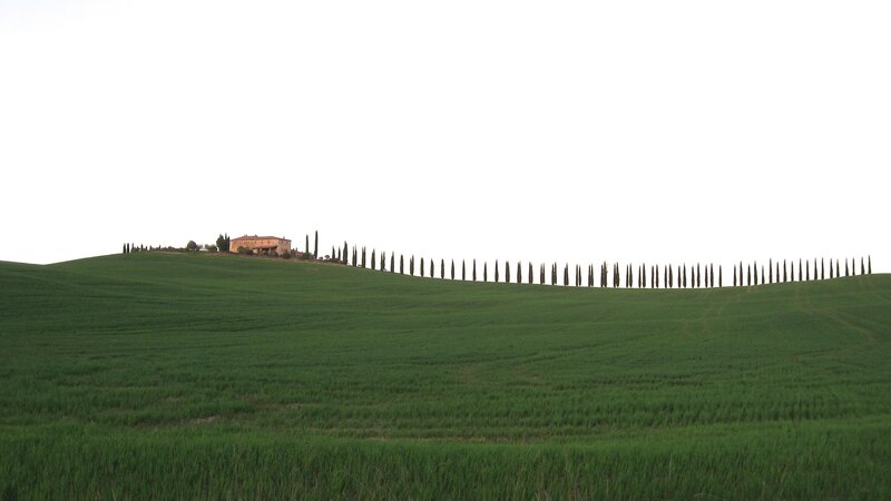 Tuscan hillside with cypress trees