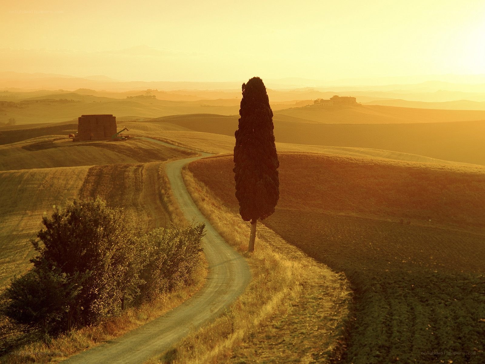 Tuscan landscape at sunset