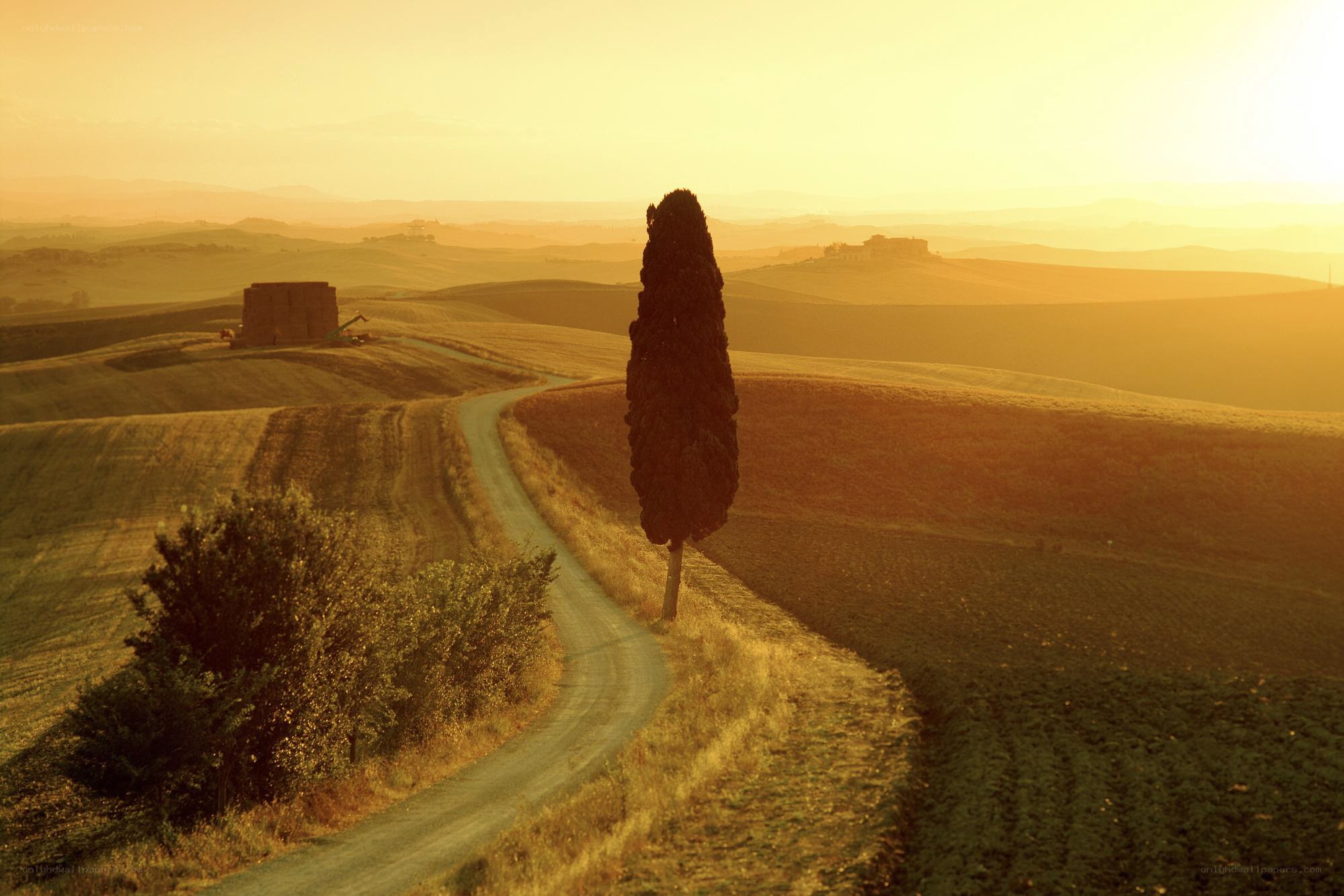 Tuscan landscape at sunset