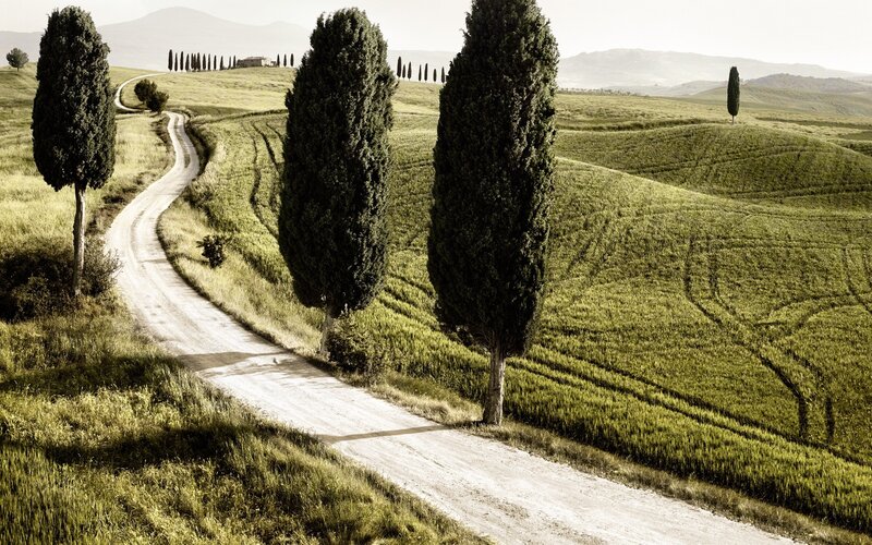 Tuscan landscape with cypress trees