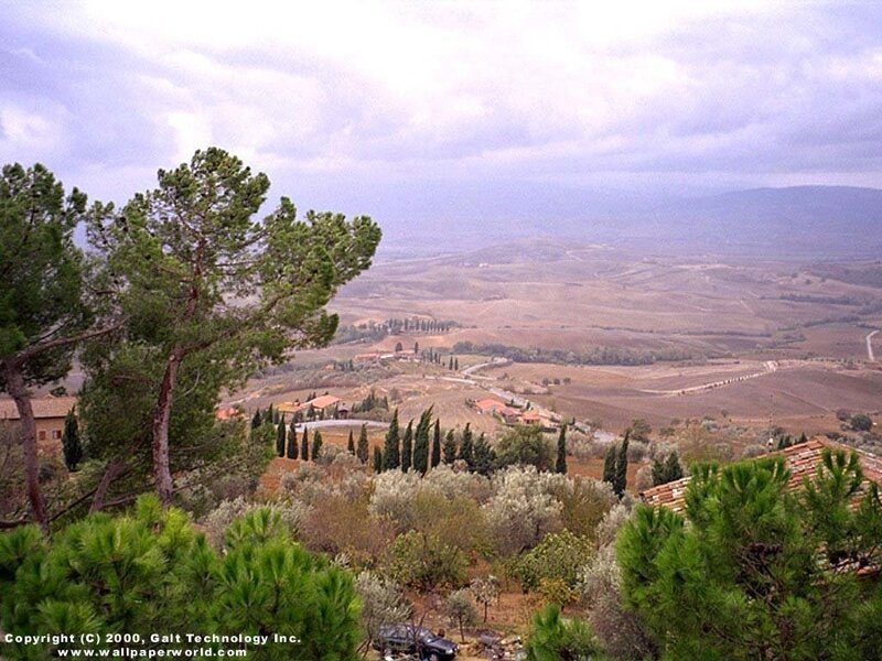 Tuscan landscape with cypress trees