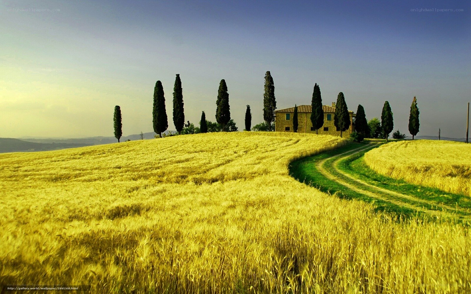 Tuscan landscape with farmhouse