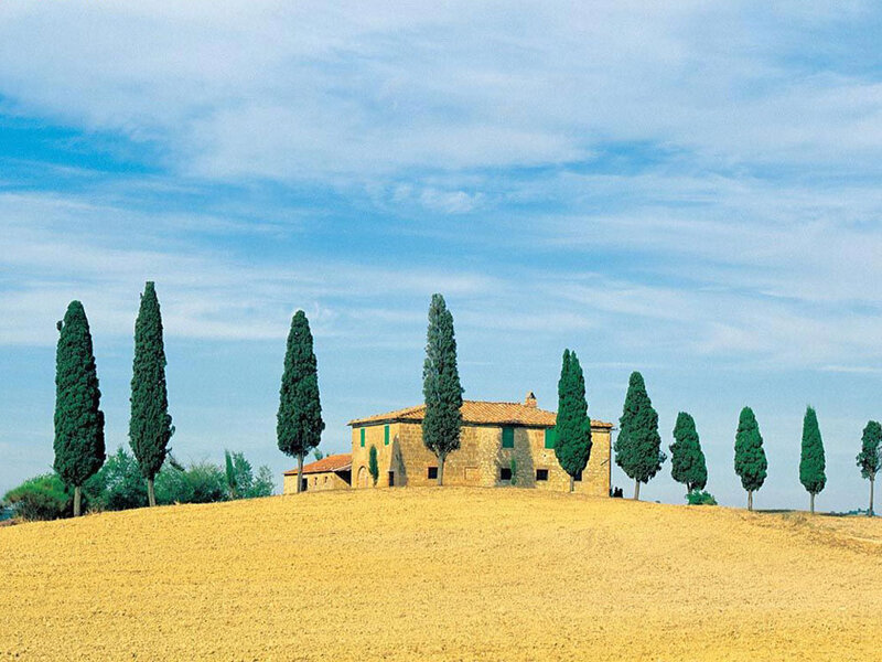 Tuscan villa with cypress trees