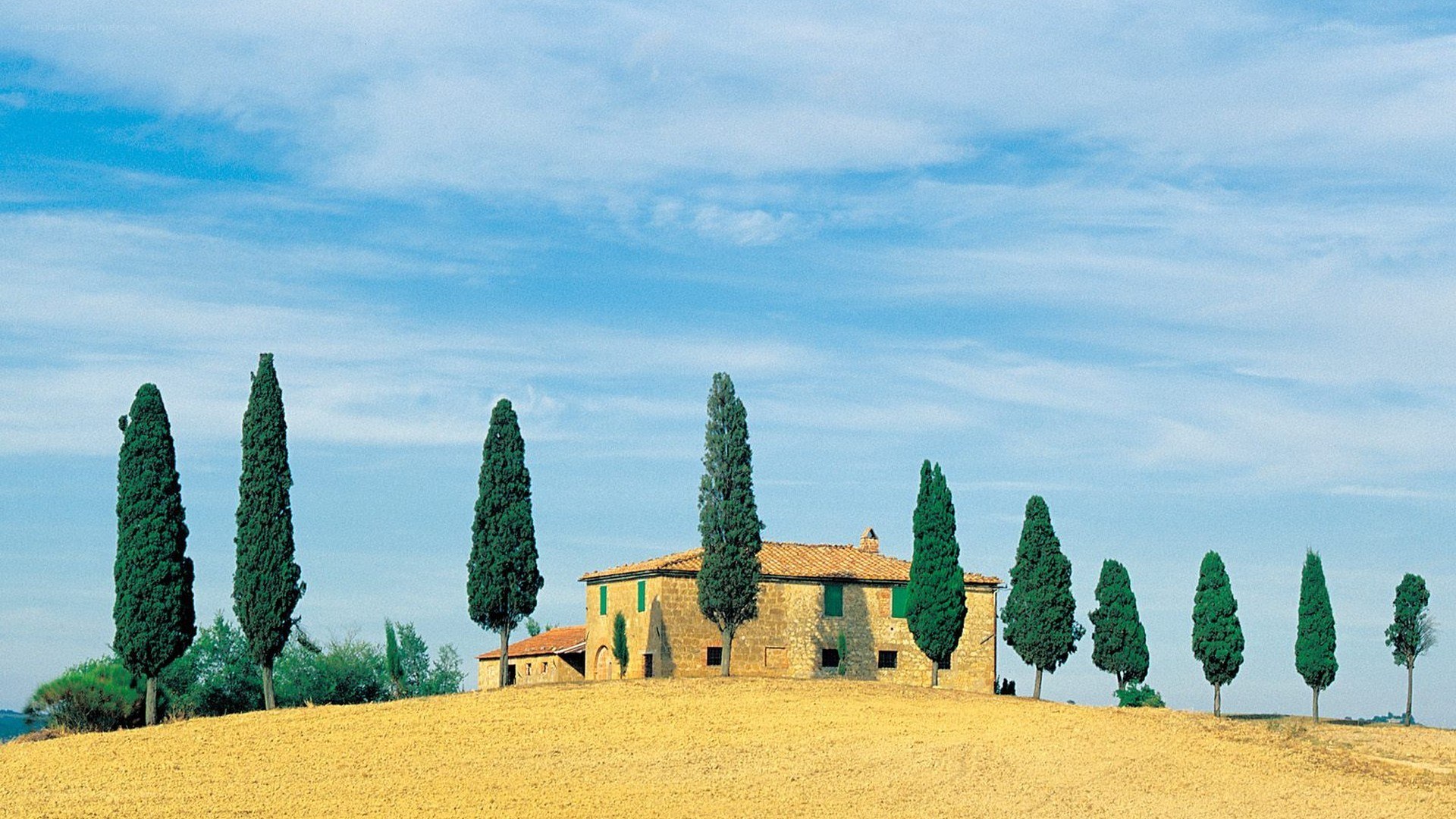 Tuscan villa with cypress trees