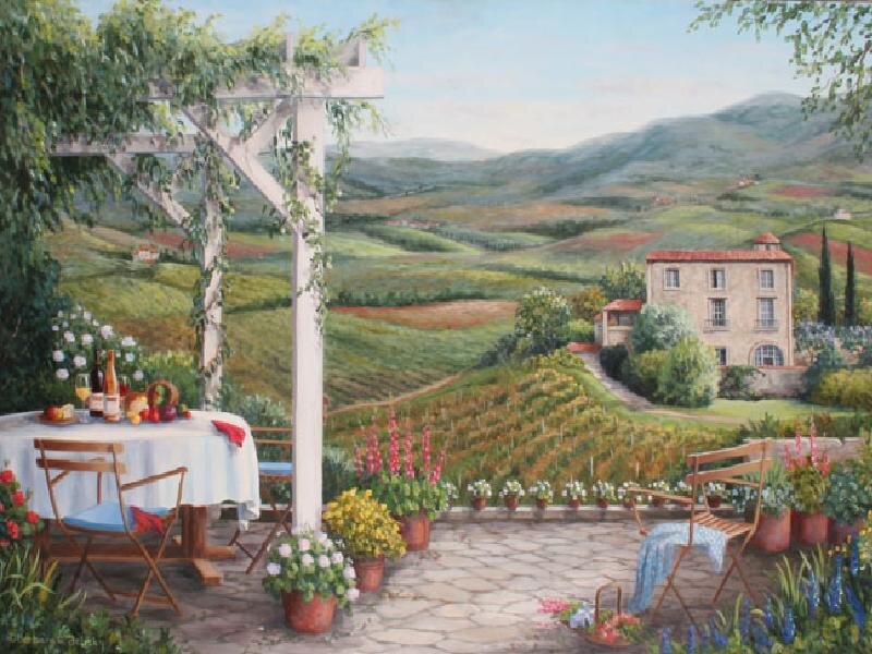 Tuscan villa with vineyard view