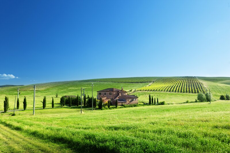 Tuscan vineyard landscape