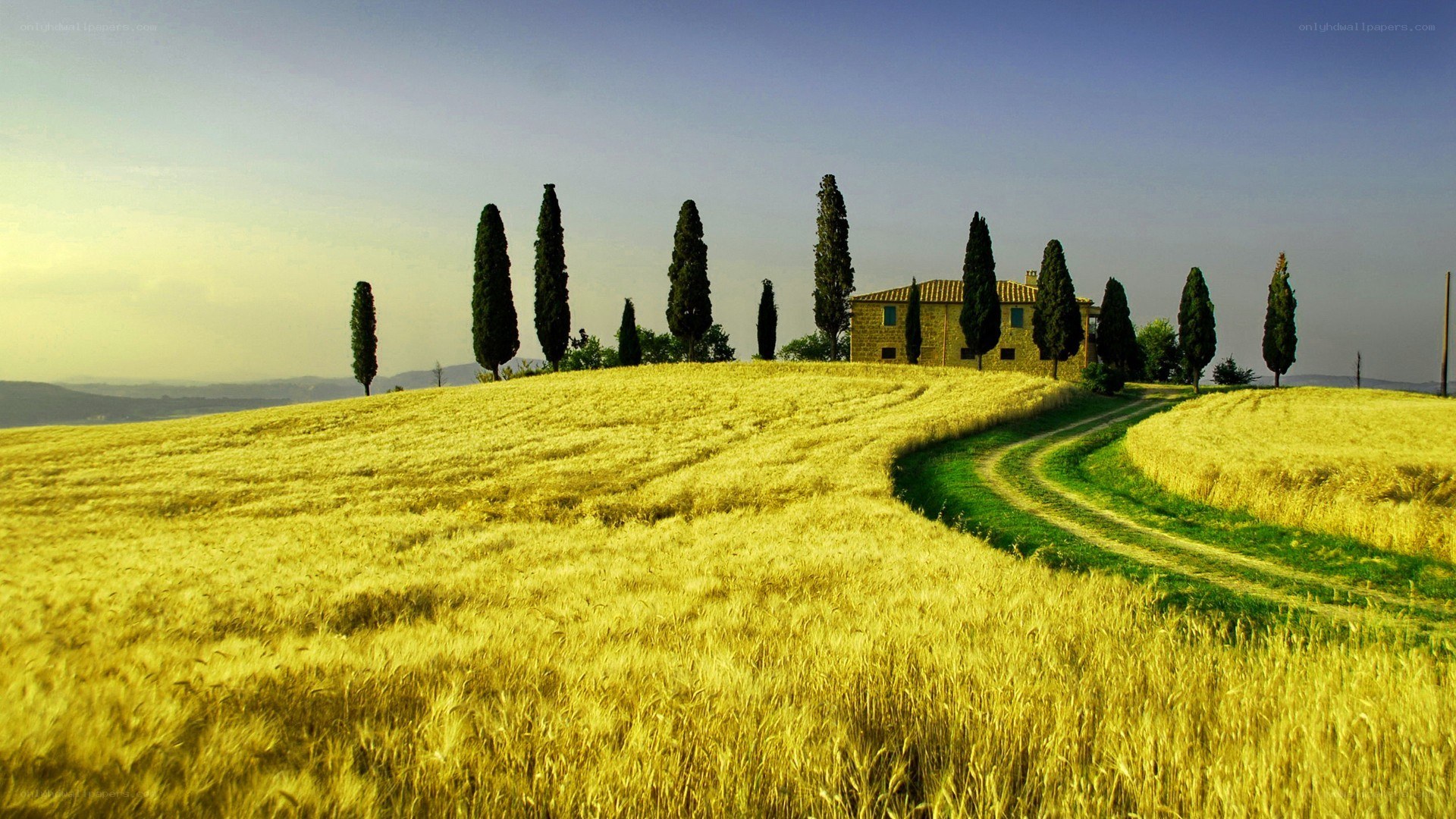 Tuscan wheat field with farmhouse
