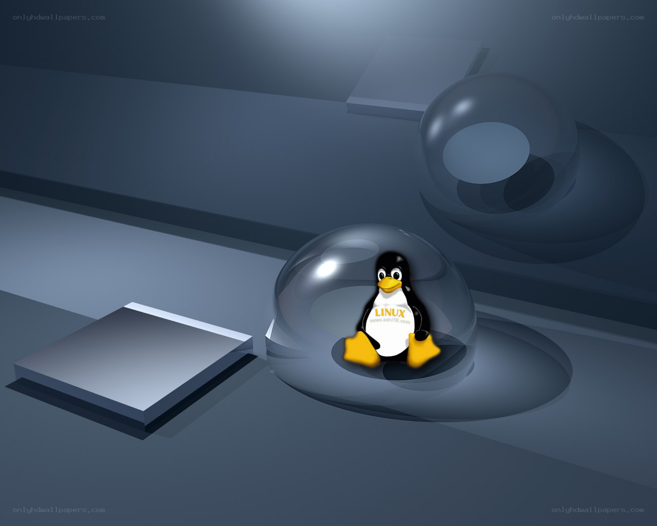 Tux in a glass dome