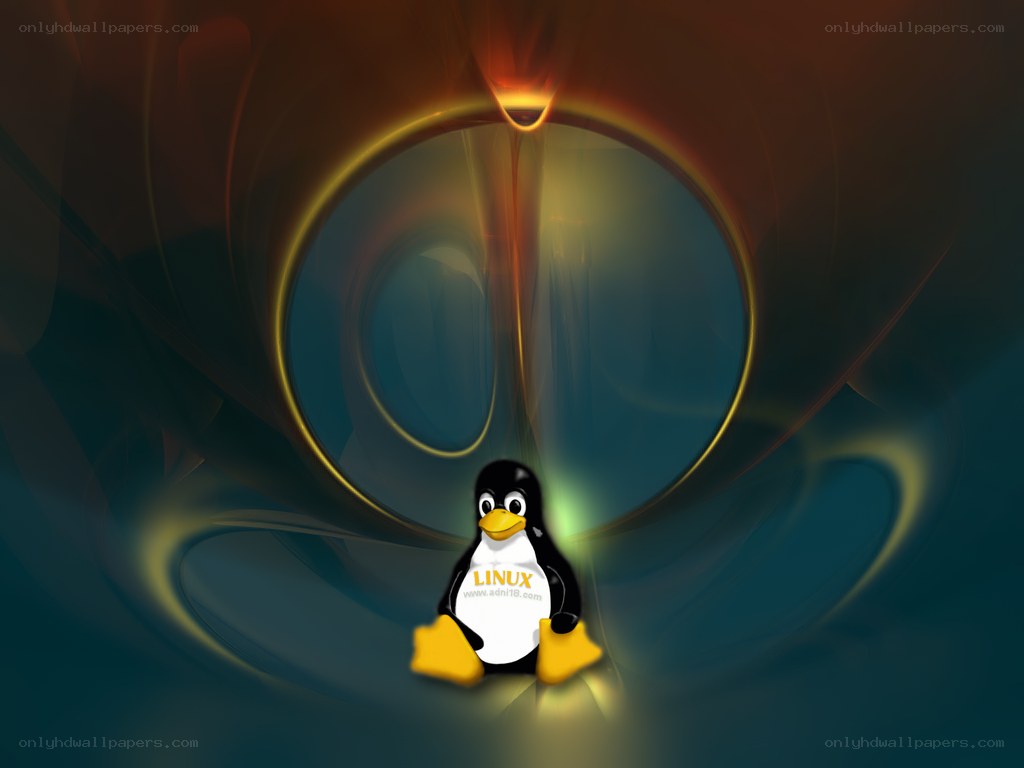 Tux penguin in a tunnel