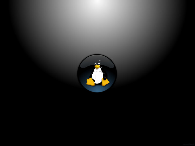 Tux penguin in spotlight