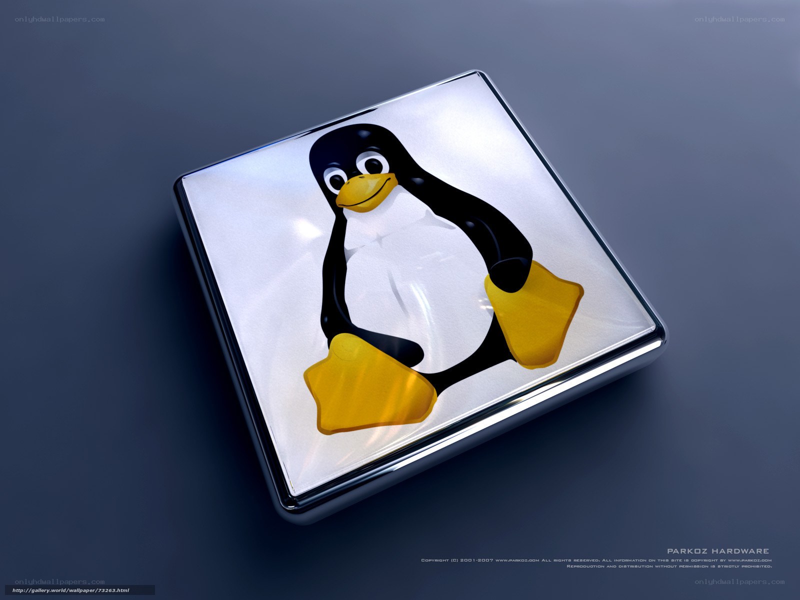 Tux penguin on a chrome box