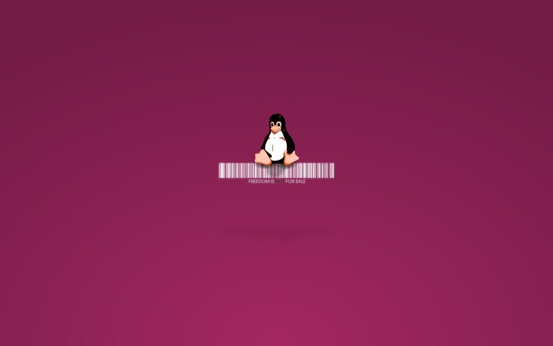 Tux Penguin on Barcode