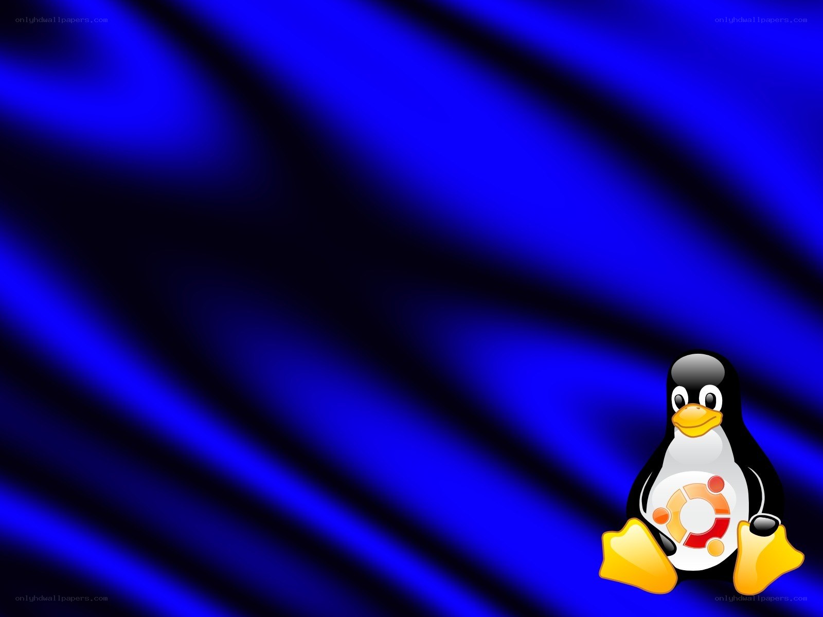 Tux penguin on blue background