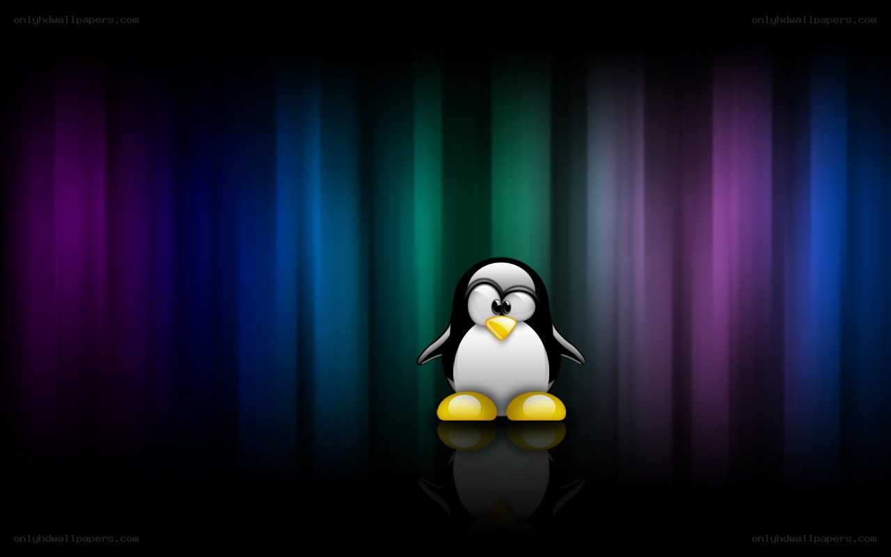 Tux penguin on colorful background