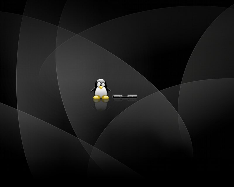 Tux penguin on dark background