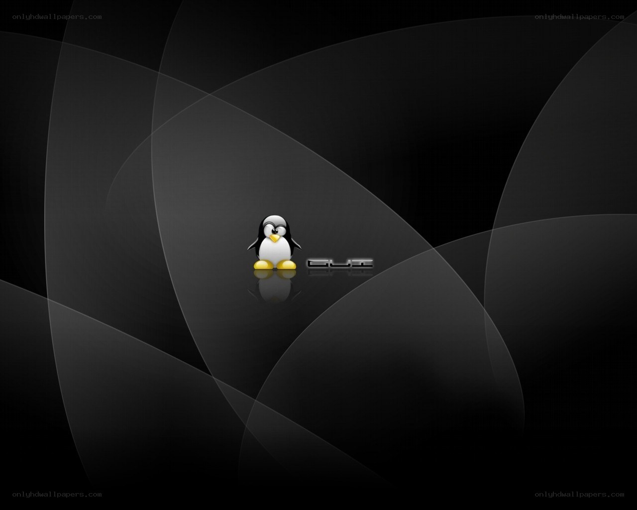 Tux penguin on dark background