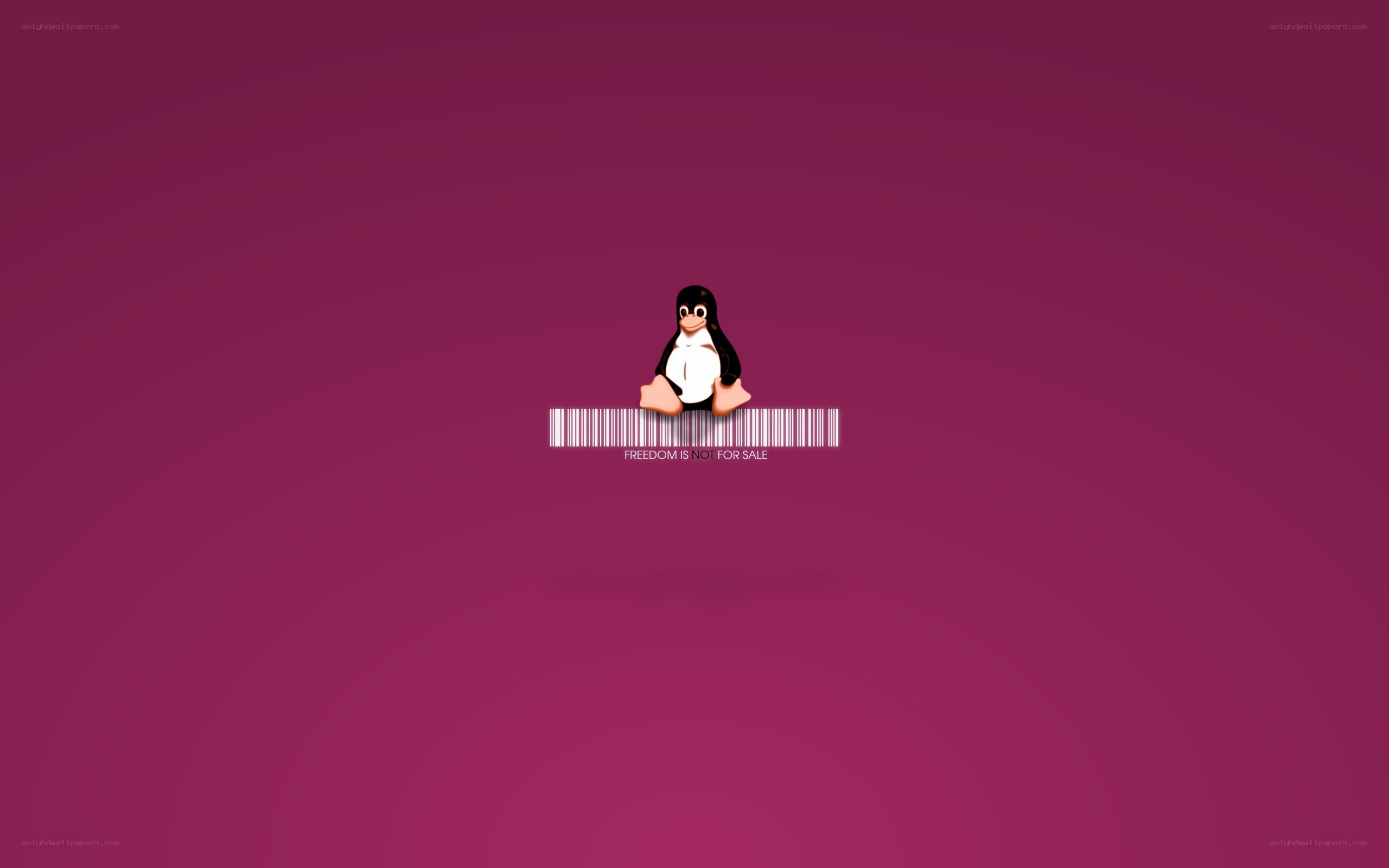 Tux penguin with barcode
