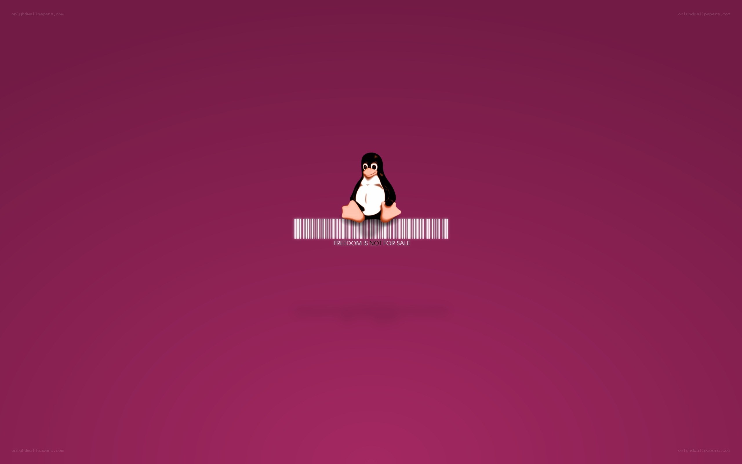 Tux penguin with barcode