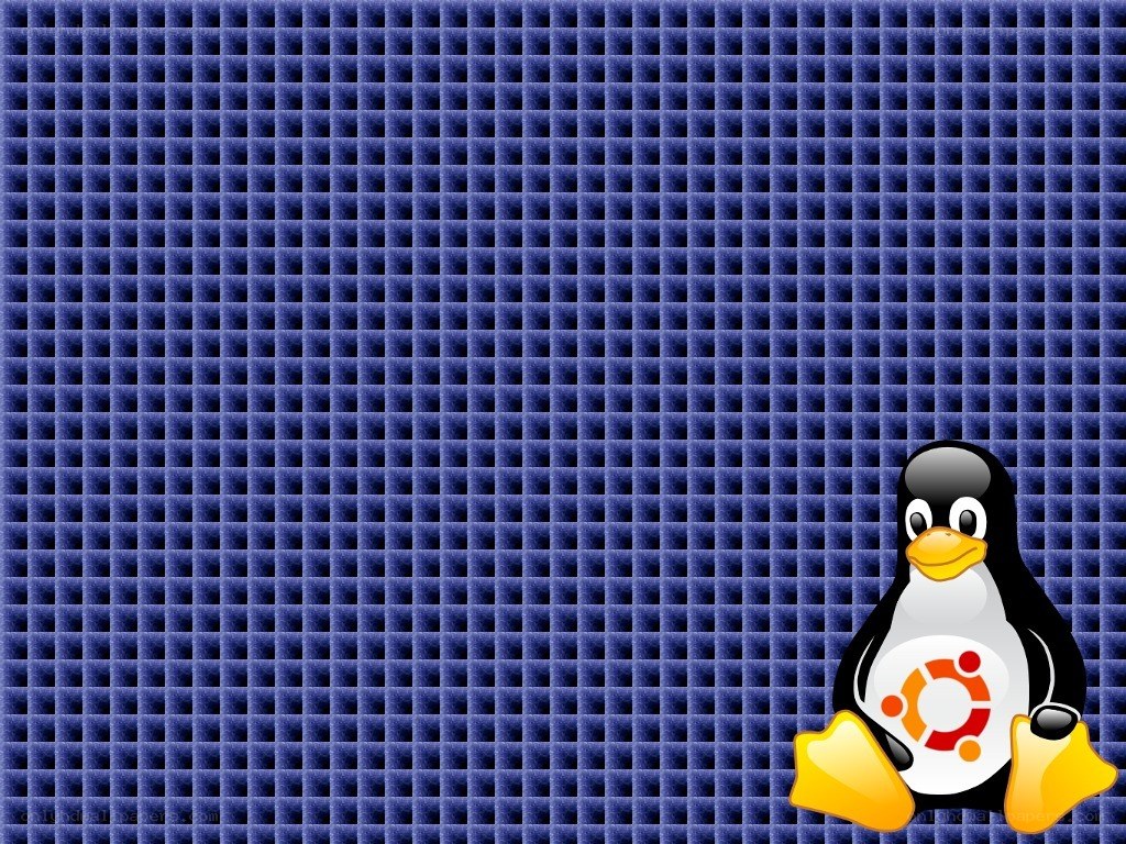 Tux penguin with Ubuntu logo