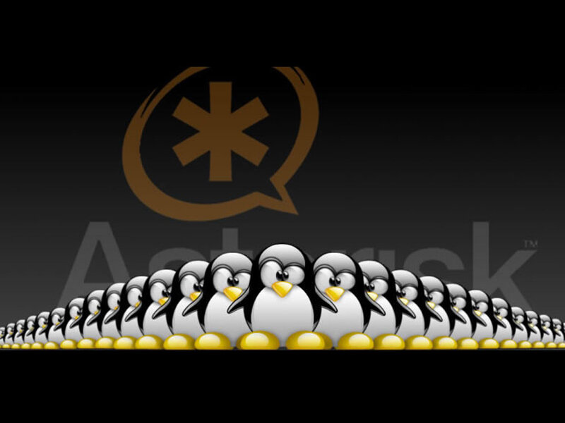 Tux penguins in a line