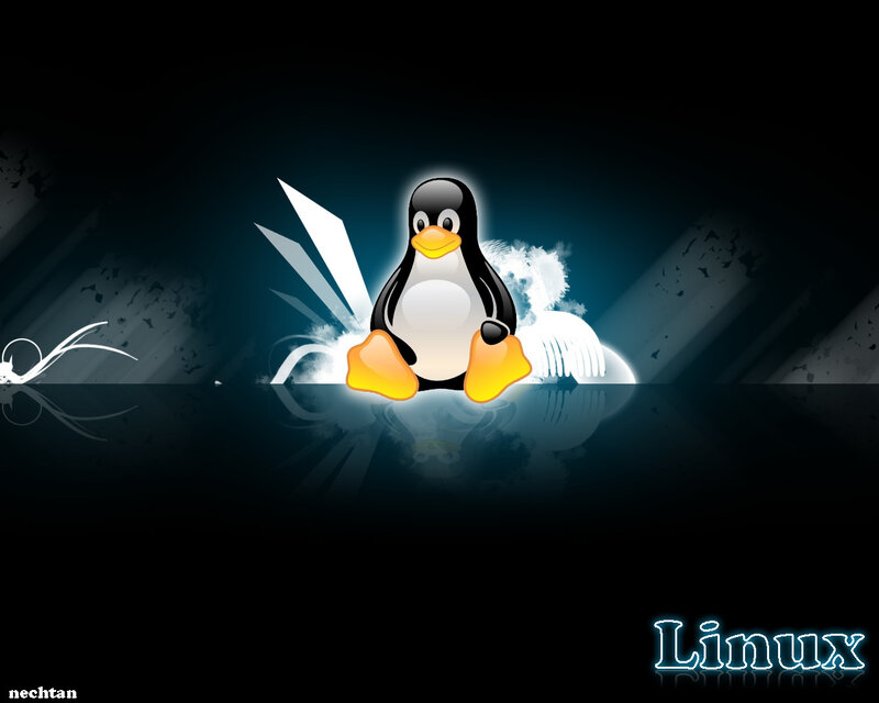 Tux the Penguin — Black, Dramatic, Night