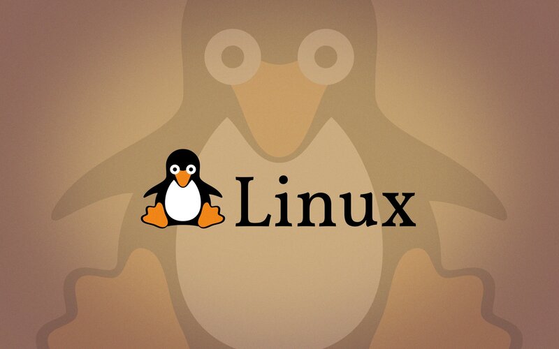 Tux the Penguin — Brown, Neutral
