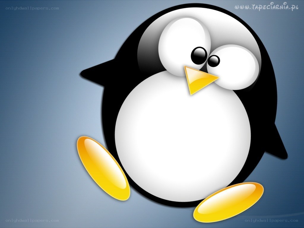 Tux the penguin character