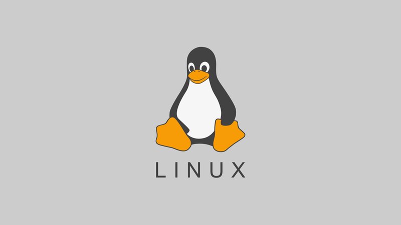 Tux the Penguin — Gray, Neutral