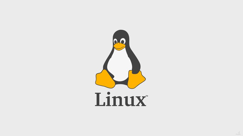 Tux the Penguin — Gray, Neutral, Vector Art